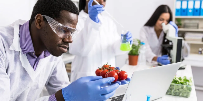 Diving Deep Into Food Science And Technology Courses Curriculum