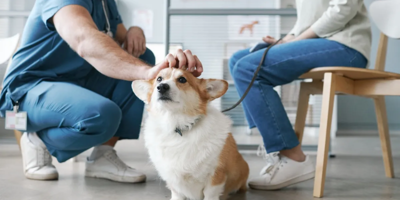 The core value of pet insurance