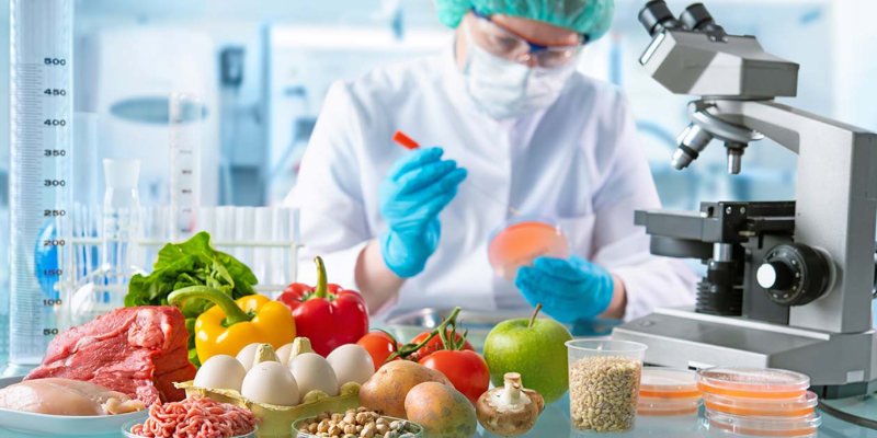 Why Pursue Food Science And Technology Courses Today