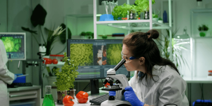 food science and technology courses